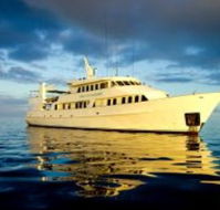 Spirit Of Freedom - Accommodation Mt Buller