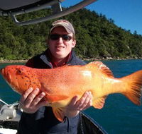 Gone Fishing by Coral Sea Fishing Charters Airlie Beach - Accommodation Mt Buller
