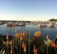 Mantaray Charters - Accommodation Mt Buller