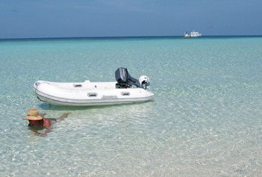 Adrenalin Snorkel And Dive - Accommodation Mt Buller 4