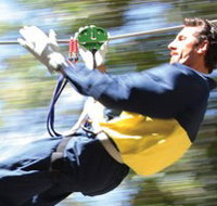 Adventure Parc - Accommodation Mt Buller