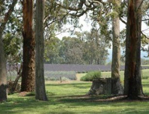 Stanthorpe QLD Accommodation Mt Buller