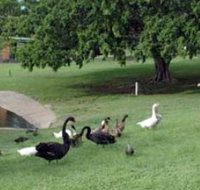 Anzac Park and Ululah Lagoon - Accommodation Mt Buller