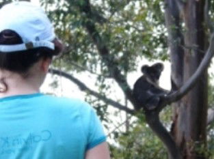 Araucaria Ecotours - Accommodation Mt Buller 1