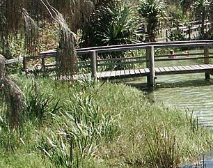 Australia Fraser Island Escape - Accommodation Mt Buller 1