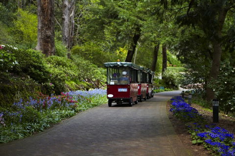 Araluen Botanic Park - Accommodation Mt Buller 0