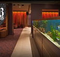 AB Hotel - Accommodation Mt Buller