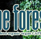 Forest Cafe  Bar - Accommodation Mt Buller
