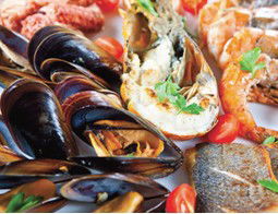 Pelagos Greek Tavern - Accommodation Mt Buller 2