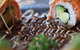 Restaurant Toshiya - thumb 1