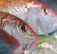 Coro Hotel - Lure Seafood Restaurant - Accommodation Mt Buller