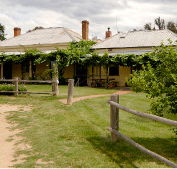 The Blue Duck Inn Hotel - Accommodation Mt Buller