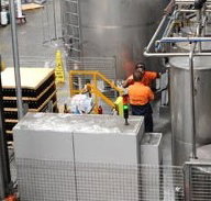 Little Creatures - Accommodation Mt Buller