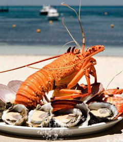 Quokka Arms - Accommodation Mt Buller 1