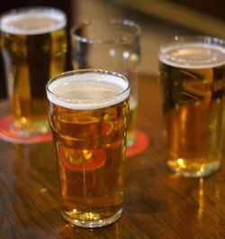 Plough Inn Hotel - Accommodation Mt Buller 2