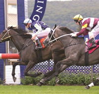 Gosford Race Club - Accommodation Mt Buller