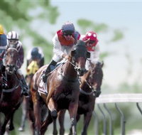 Colac Turf Club - Accommodation Mt Buller
