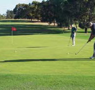 Waikerie Golf Club - Accommodation Mt Buller