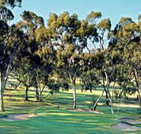 Tanunda Pines Golf Club - Accommodation Mt Buller