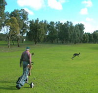 Coffin Bay Golf Club - Accommodation Mt Buller