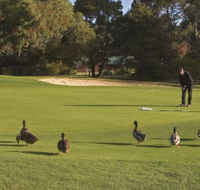 Royal Hobart Golf Club - Accommodation Mt Buller