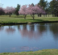 RMC Golf Club - Accommodation Mt Buller
