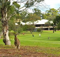 Pambula Merimbula Golf Club - Accommodation Mt Buller