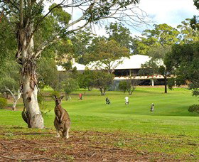 Pambula Merimbula Golf Club - Accommodation Mt Buller 0