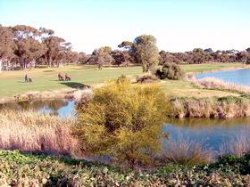 Maitland Golf Club Incorporated - Accommodation Mt Buller 1