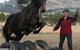Kings Creek Saddle Club - thumb 5