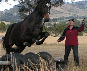 Kings Creek Saddle Club - Accommodation Mt Buller 5