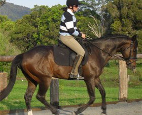 Kings Creek Saddle Club - Accommodation Mt Buller 6