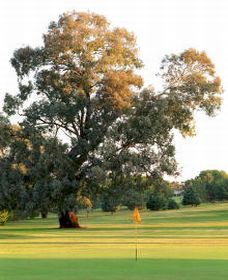 Cowra NSW Accommodation Mt Buller