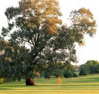 Cowra Golf Club - Accommodation Mt Buller