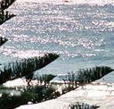 Bondi Social - Accommodation Mt Buller