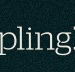 Dumpling Republic - Accommodation Mt Buller