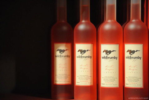 Fennell Bay Cellars - Accommodation Mt Buller 0