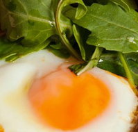 Rosebud Restaurant  Bar - Accommodation Mt buller