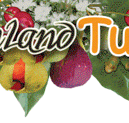 Bushland Tukka Cafe  Catering - Accommodation Mt Buller