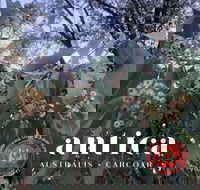 Antica Australis - Winter Fire Festival - Accommodation Mt Buller