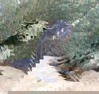 Bathurst Arts Trail - Accommodation Mt Buller