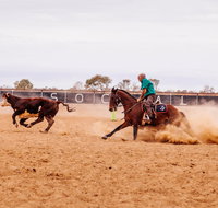 Birdsville Campdraft  Rodeo and Bronco Branding - Accommodation Mt Buller