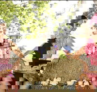 Burdekin Growers Race Day - Accommodation Mt Buller