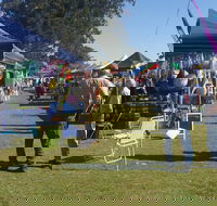 Casino Golf Club Markets - Accommodation Mt Buller