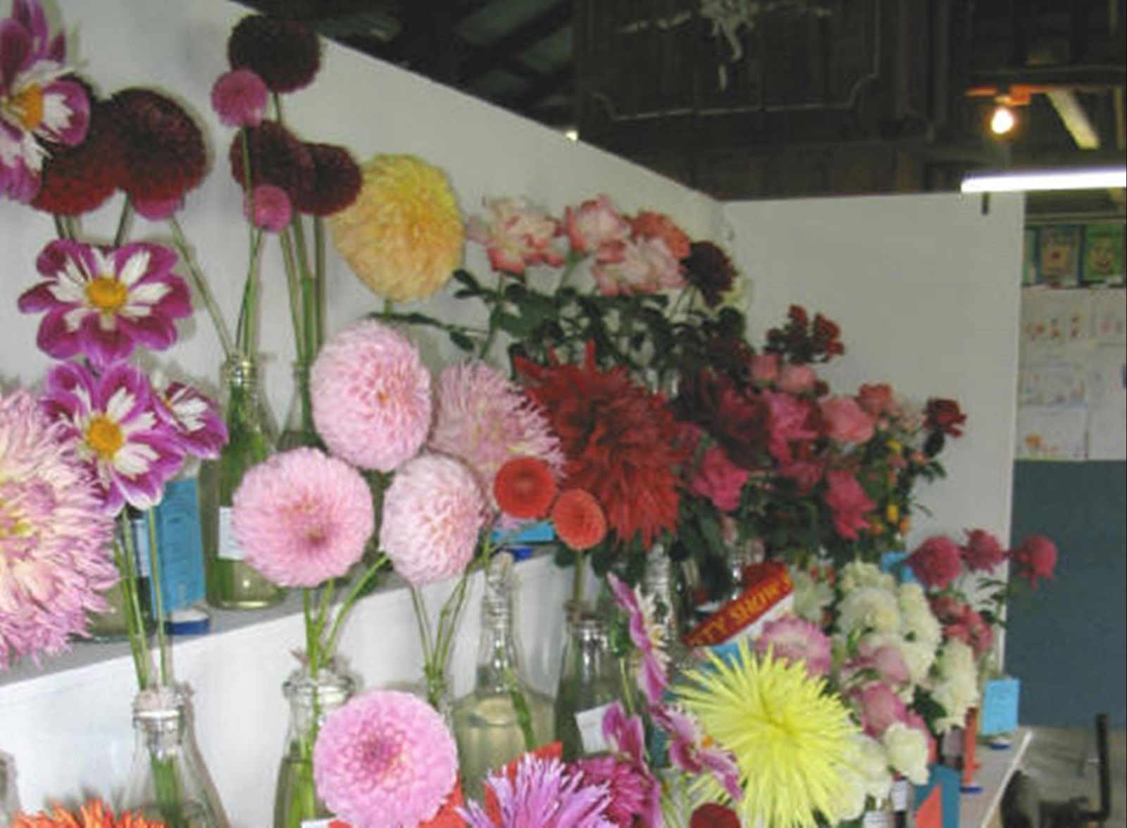 Avonside NSW Accommodation Mt Buller