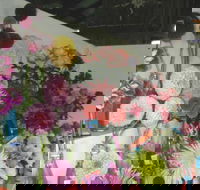 Dalgety Show - Accommodation Mt Buller