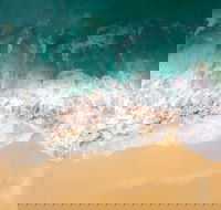 Endeavour Voyage The Untold Stories of Cook and the First Australians - Accommodation Mt Buller