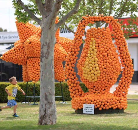 Griffith Spring Fest - Accommodation Mt Buller 1
