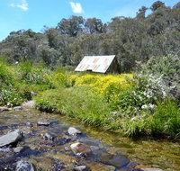 Hedonistic Hiking's Falls Creek to Hotham - Accommodation Mt Buller