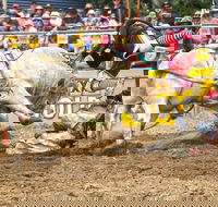 Jindabyne's Man From Snowy River Rodeo - Accommodation Mt Buller
